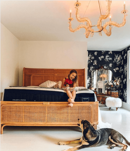 A woman sitting on a Stearns and Foster mattress placed on a wooden frame, looking at her dog in a decorated room.png