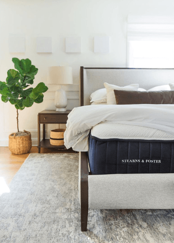 Stearns and Foster mattress on a cream fabric bed frame with a white duvet pulled back