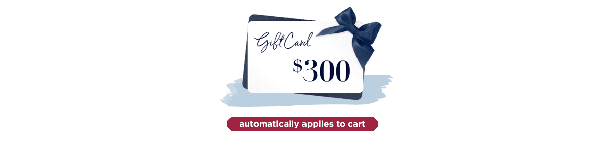 A $300 Visa Gift Card with a blue bow