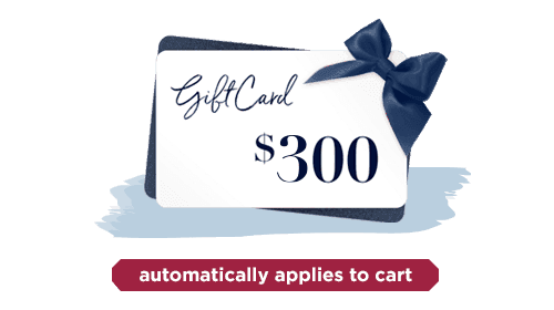 $300 Visa Gift Card with a blue bow